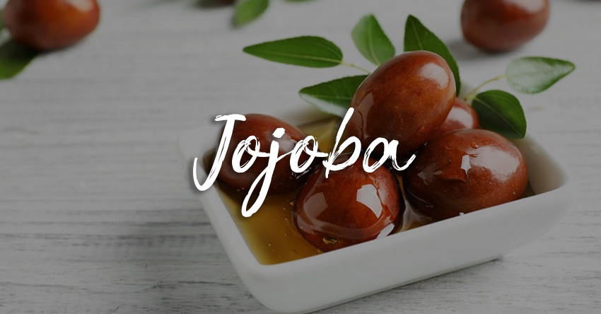 JOJOBA