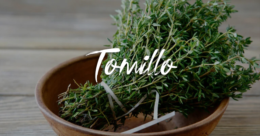 Tomillo